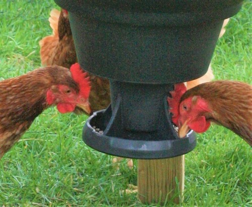 Pan feeder for - 7",