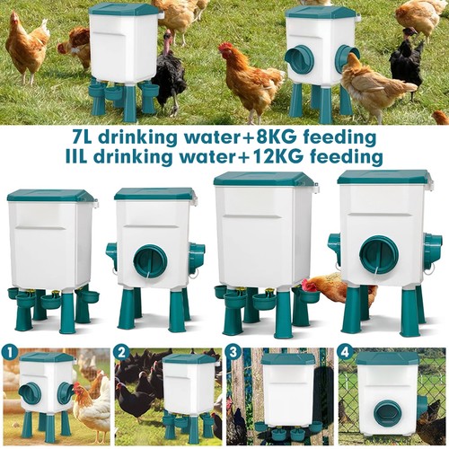 12kg 8kg chicken - chicken, feeder