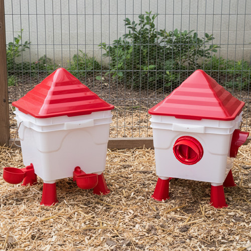 Kct raised chicken - raised, feeder